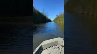Swamp adventures!
