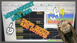 4TH GEN FBODY WIRING PART 2. SETTING UP MEGASQUIRT MS3 PRO INPUTS/ OUTPUTS + LOOPS