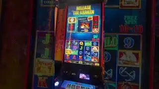 Big win on Treasure hunter slot free game
