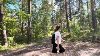 Прогулка в Рачейском лесу, Самарская область, август 2024г