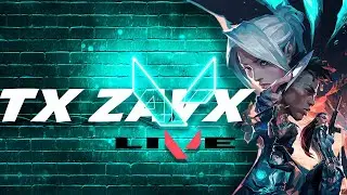 REGULAR STREAMER IS BACK |VALORANT AND PUBG PC LIVE 🔴 | TX ZAVX GAMING |#gaming #live