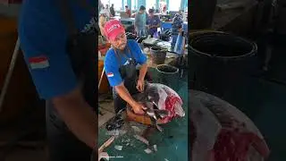 Skill cutting tuna profesional #fishcutting #fish #fillet #seafood 