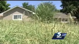 Northeast Oklahoma City neighborhood plagued by long grass