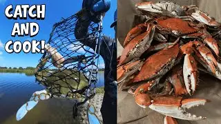 CATCH Blue Crabs with THESE TRAPS and Chicken-On-A-String! #crab #crabbing #bluecrab #outdoors #fyp