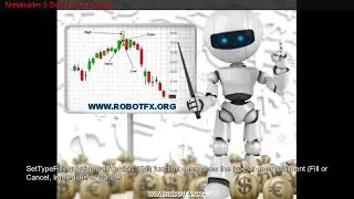 Metatrader 5 Script  Open Trade