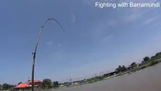 Barammundi fishing in Thailand CARECA BITURBO Sinking Minnow 10June2017