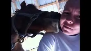 SAE Crack - Horsey bloopers, outtakes, random clips