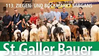 Ziegen- und Bockmarkt in Sargans 2025