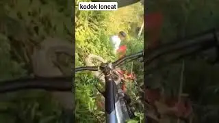 Down Fail #adventure #rider #bikelover #bike #shorts