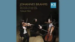 Brahms: Piano Trio No.1 in B major, Op.8 1st Mov. - Tonus Trio / 브람스: 피아노 트리오 1번 1악장 - 토너스 트리오