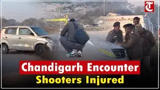 Chandigarh Crime Branch Injures Two Shooters in Early Morning Encounter After Sector-32 Firing Case
