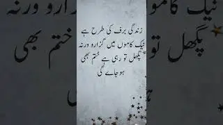 Beautiful islamic Quotes#quotes #islam #islamic #shorts #muslim