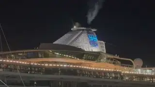 Cruise ship with nearly 100 sick passengers arrives at PortMiami