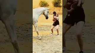 The adorable moment of horses and human babies #baby #funny #adorable #love