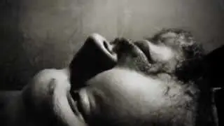 Everybody's an Animal