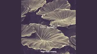 Carefree Hatha Yoga
