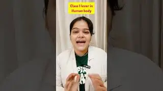 Class 1 lever system example explained