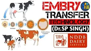 EMBRYO TRANSFER TECHNOLOGY || NDDB-SAG || Dr.SP Singh ||