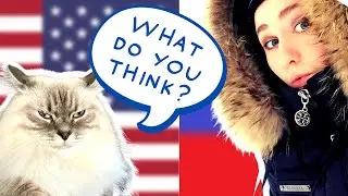 Our Family WINTER Traditions (What are yours?)
