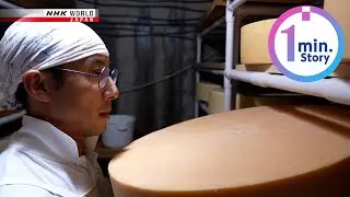 Cheese with the pure taste of HokkaidoーNHK WORLD-JAPAN NEWS