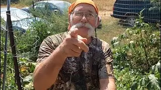 New Food Shortage Concerns