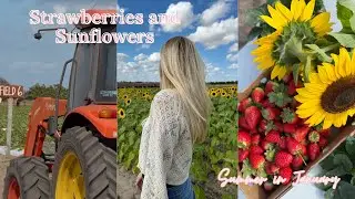 Strawberry Picking, Sunflowers & a Cozy Beach Walk 🌻🍓 | Summer in January