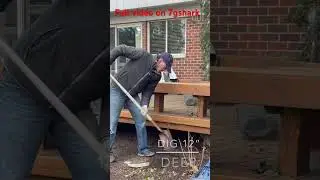 How to stop animals from getting under your deck or crawl space