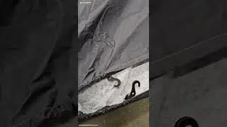 TARMAC lined waterproof motorcycle cover features