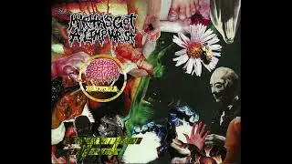 Martha's Got A Limp Wrist / Cerebral Enema / Caveman Attack Split (Cerebral Enema Songs)