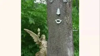 CNU 20 - The Secret Life of Trees