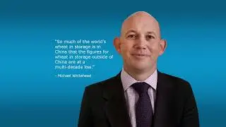 Tuesday: AUD and NZD rise on China stimulus talk
