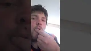 Snack Reviews Altoids Mints
