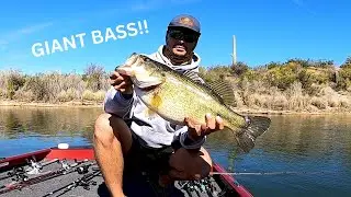 Giant Bass at Saguaro Lake | Arizona Bass Fishing