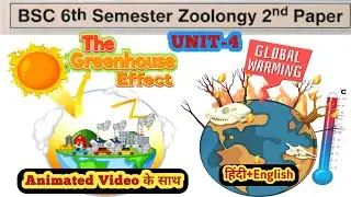 BSc 6th Semester Zoology 2nd Paper//Greenhouse Gases & Global Warming//Green House effect in Hindi 