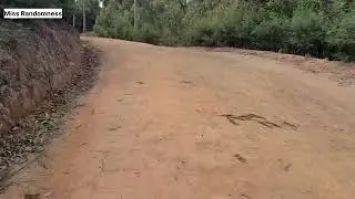 VLOG: Random Walk | Village Vibes