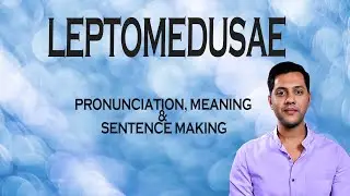 Leptomedusae - Meaning_&_Pronunciation_Word_World_Audio_Video_Dictionary