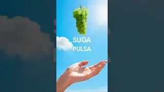 pico pulse v2