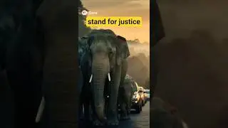 Elephant gathering for justice #ai #elephant #justice #viral #wildlife #shortsfeed #shorts