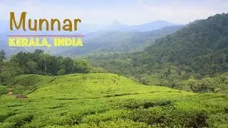 MUNNAR : Most beautiful hill station in Kerala | God's Own Country