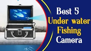 5 Best Underwater Fishing Camera Reviews in 2024