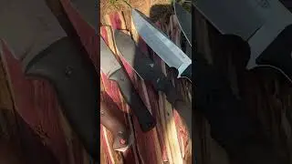 Top 10 Mid Size Survival Knife Showdown Line Up. How do you think they are doing? #outdoors #knife