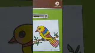 Beautiful yellow bird drawing #howtodraw #drawing #easy #colourpencil #beautiful #bird#yellow