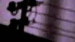 Mycrobus 1996
