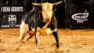 BULL RIDING FINAL ROUND | TURIÚBA-SP RODEO 2026