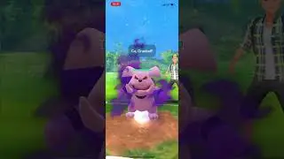 Give This Team A Try In The Catch Cup!! | Catch Cup | Pokemon Go Battle League #shorts