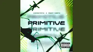 PRIMITIVE (feat. Point North)