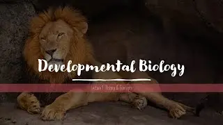 Developmental Biology: History & Introduction of Concepts