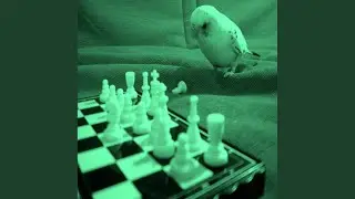 One Wing Dove (BVP Drum God ReThump)