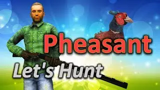 Let's Hunt PHEASANT - theHunter Classic