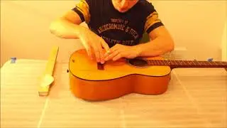 Hofner Guitar